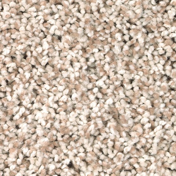 Soft Dimensions II - 718 Blanched Almond